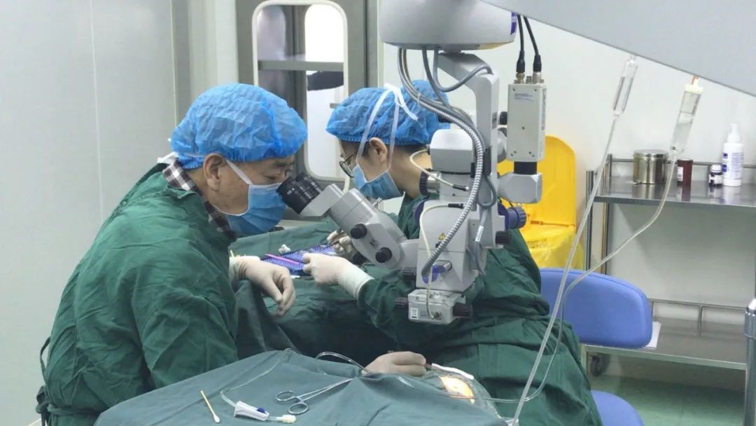 伊犁霍城縣18名斜視兒童接受免費手術